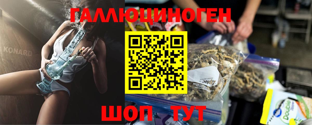 Псилоцибиновые грибы мицелий Богородицк