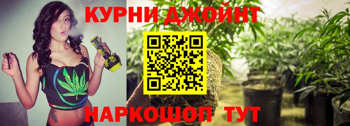 Бошки Шишки план Богородицк